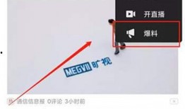 河南头条爆料视频,揭秘惊人内幕，真相令人震惊！