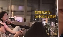 葛思齐最新爆料大s照片,揭秘明星生活点滴