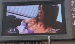 宁波网红被爆料视频大全,揭秘网络红人背后的真相